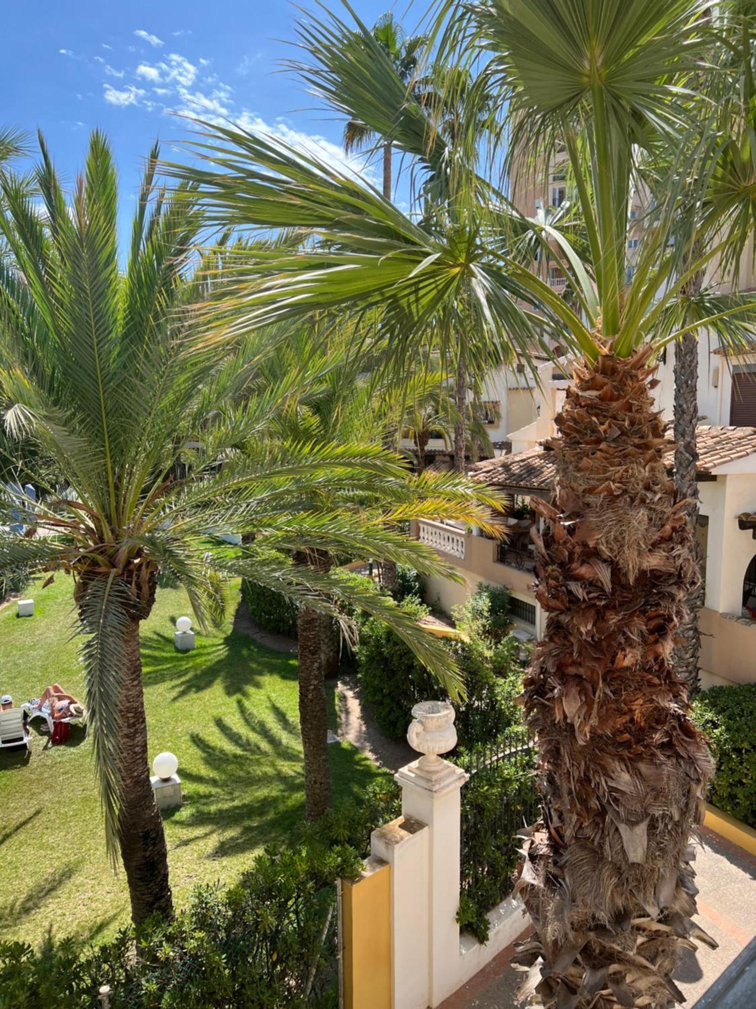 Appartement Casa Al Mare Aldea à Torrevieja Extérieur photo