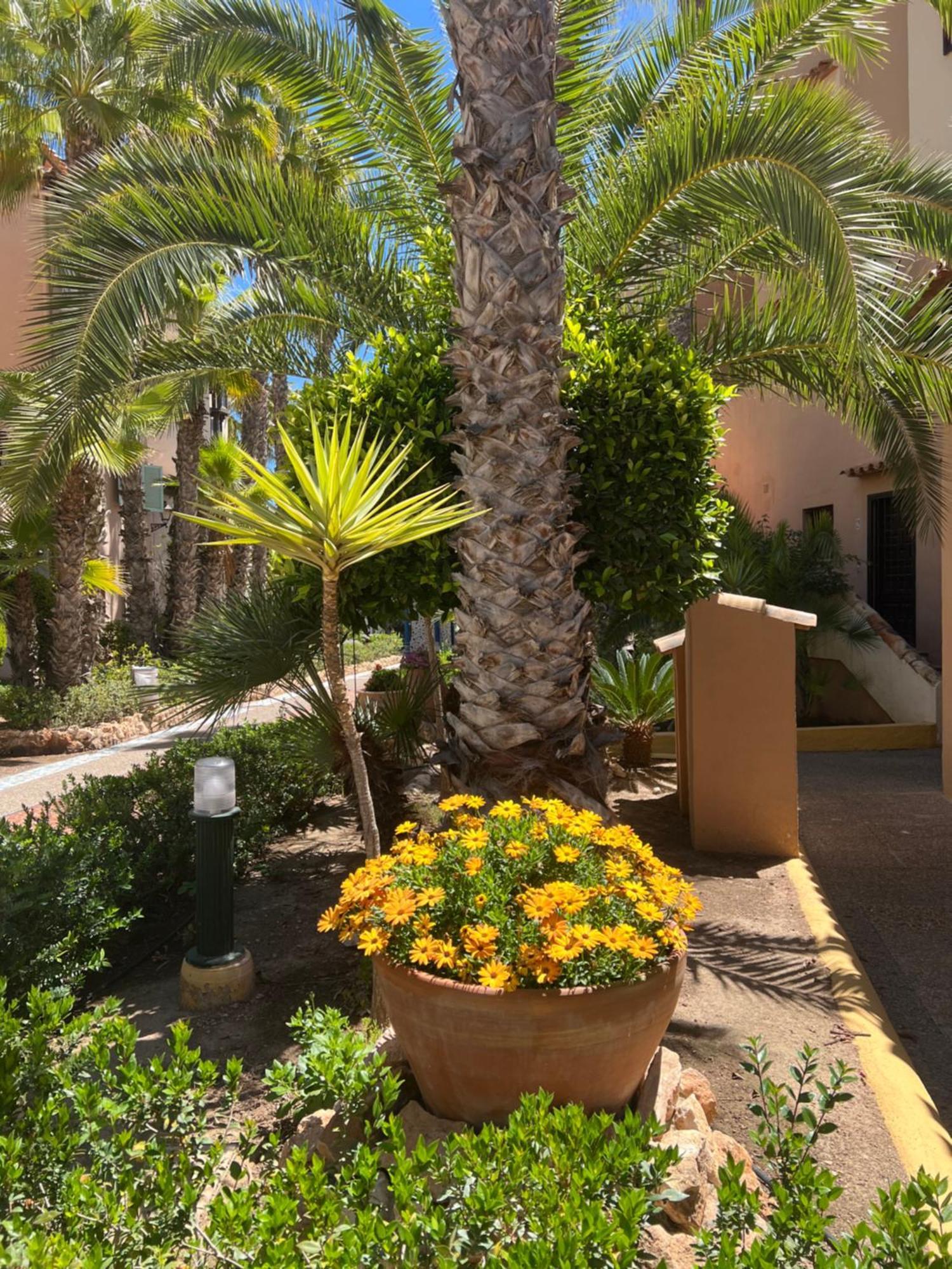 Appartement Casa Al Mare Aldea à Torrevieja Extérieur photo